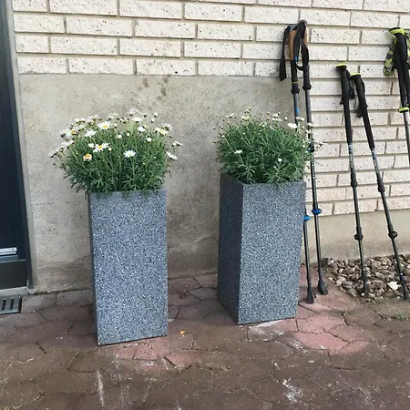 Bed & Breakfast Jensens *