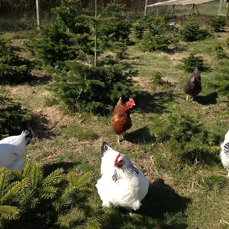 Jensens Frühstückspension Egtved