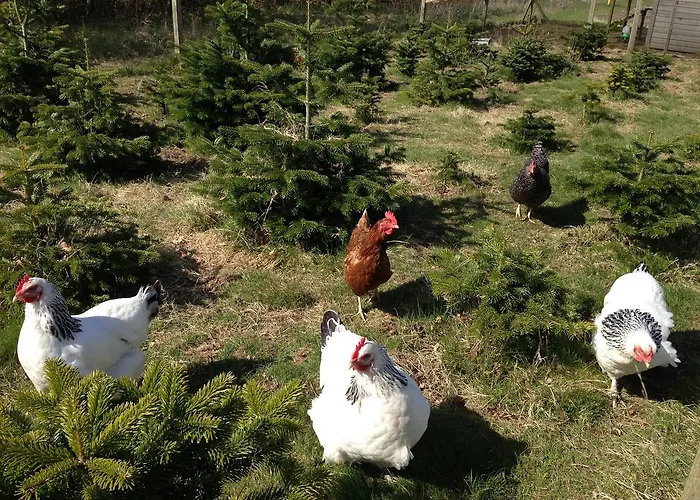 Jensens Bed and breakfast Egtved